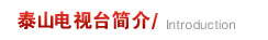 泰山电视台简介