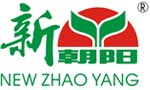 新朝阳