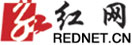 红网