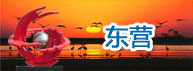 东营