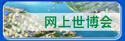 网上世博会